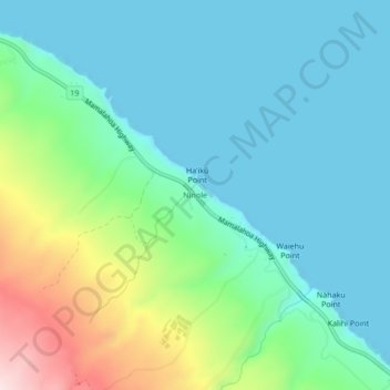 Topografisk kart Nīnole, høyde, relieff