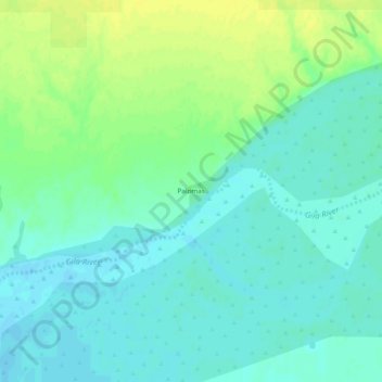 Topografisk kart Palomas, høyde, relieff